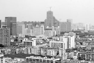 郑州9月市区商品住宅均价8952元 m2 涨265元 m2